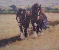 ploughing the land